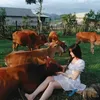 huong2002gialai