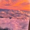 hanna_hanna150