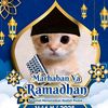 ppkucingramadhan624