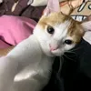 vuxthuylinh