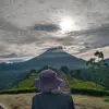 mziii_31