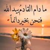 am.ah753