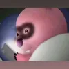 noiitthoi_showmethecode