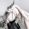 lele0707070