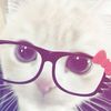 yossi_carri