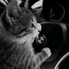 seoh_ix