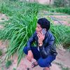 shehab.shehab75