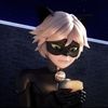 cvntnoir