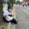 Chicago Trash Panda