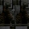 yasmin.ahmed2578