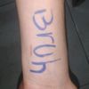 lapulgadechayanne_