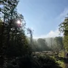 semvharten