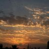 hala.ahmed491