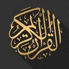 islam_biotfly