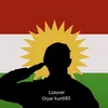 diyar.kurdi83