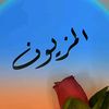 user1617847288047