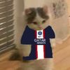 goofycat42