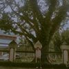aungaung_20
