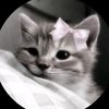 rs.suriya_06