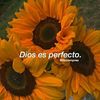 delia.pc89