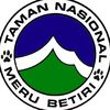btn_ merubetiri