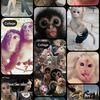 naiomi20255