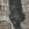 tola_n08
