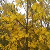 xun.nguyn9067