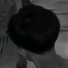 dode.rafael
