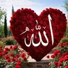 islamicvideoofficial207