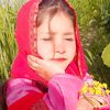 zawishkhan03