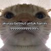 cippftxs3y