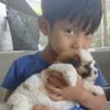aung.gyi1556