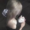 axlir_77