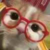 yusmeri_021