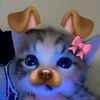 4acca_ca