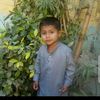user290878773