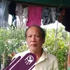 _disdado12
