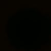 user87653279084388_