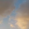 theskywq