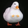 mr_duck131