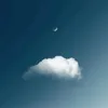never_white