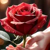 user95614981248610