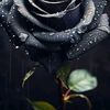 adela.godoy62
