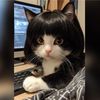lucky.cat225