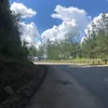 hoilamf.gi