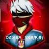 brz_sako