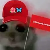 hansisillegal