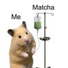 just_matchaa4