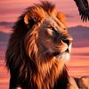 rahib._040
